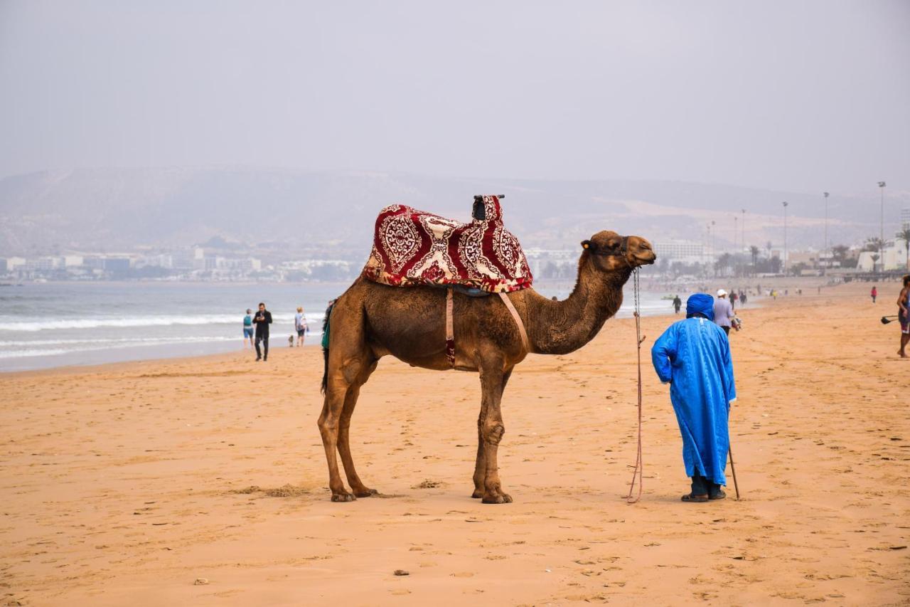 Tiziri Surf Maroc Pansiyon Tamraght Dış mekan fotoğraf
